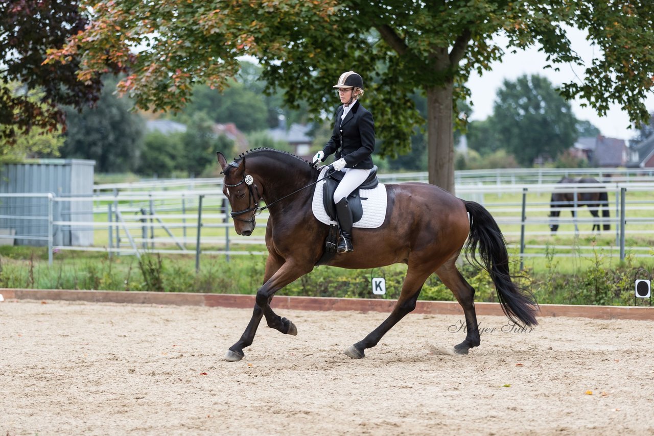Bild 665 - Fuchshof Turnier